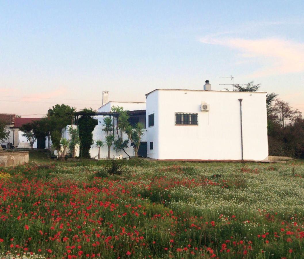 Villa Sara Di Puglia Кастелланета Экстерьер фото