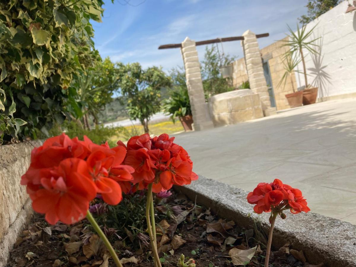Villa Sara Di Puglia Кастелланета Экстерьер фото