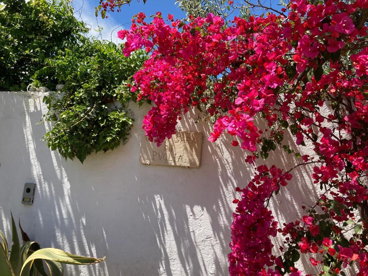 Villa Sara Di Puglia Кастелланета Экстерьер фото