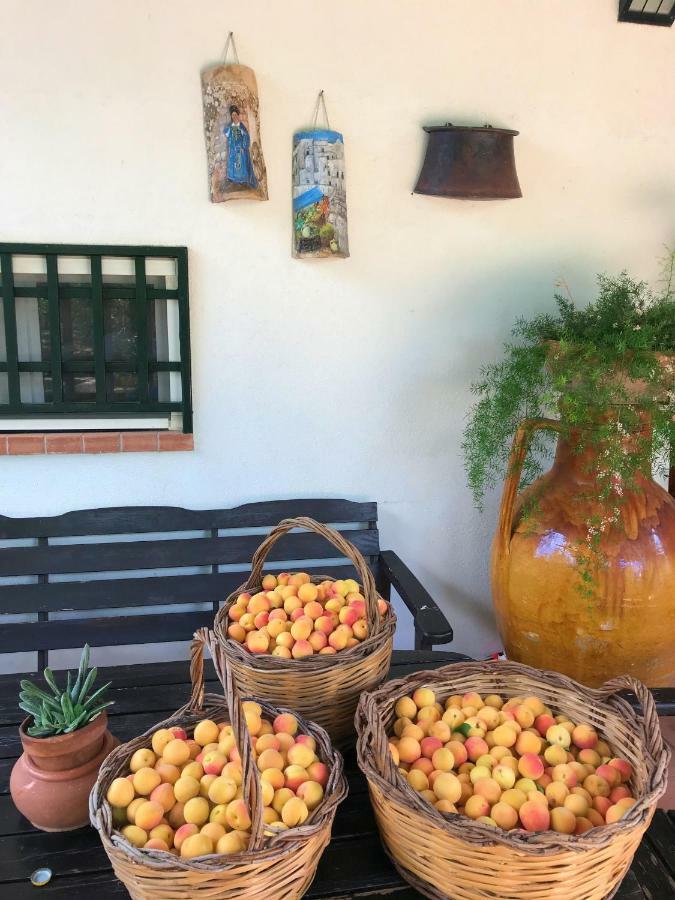 Villa Sara Di Puglia Кастелланета Экстерьер фото
