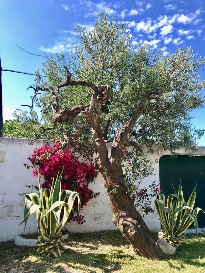 Villa Sara Di Puglia Кастелланета Экстерьер фото